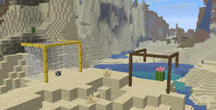 Custom Goals