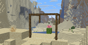 Wooden Goal