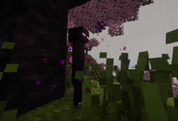 baby_enderman.png