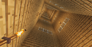 house.png