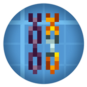 logo.png