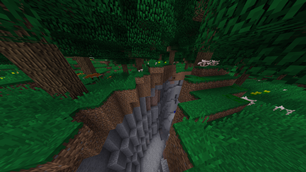 big forest 05