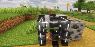 4.png
