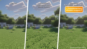 Grassrise comparison