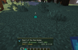 ss3.png