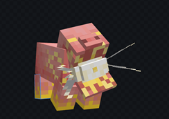 ANIMALANIMALANIMALANIMAL