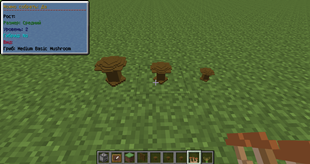Three Basic Mushroom