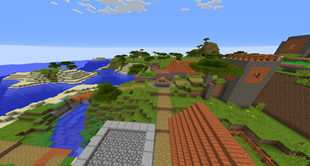 Muon Fixed Village