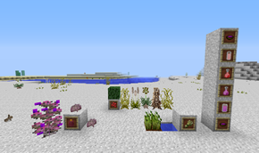 White Sands Biome