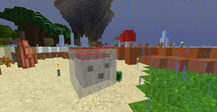 Slimes