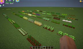 plants