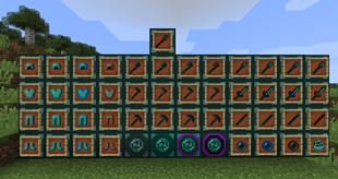 Items
