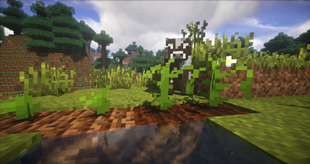 Minecraft images
