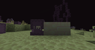 2026-09-03_16.21.00.png