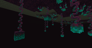 2026-08-06_14.34.52.png