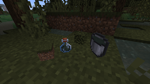 Biome item coloring
