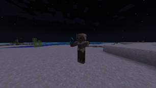 Husk With Enderpearl