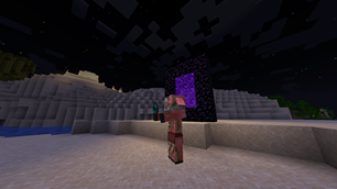 Zombie Piglin With Enderpearls