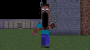 The Steve Dweller