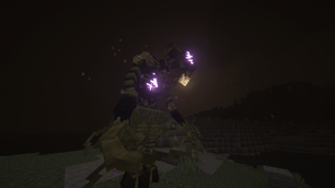 Enderman Form