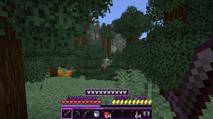 Survival HUD Overview