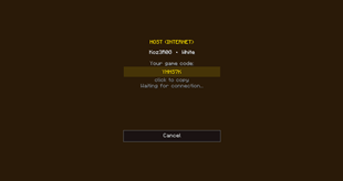 Host screen / Окно хоста