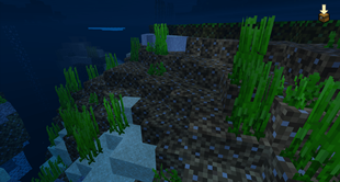 Dirt (underwater)