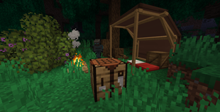 Campsite