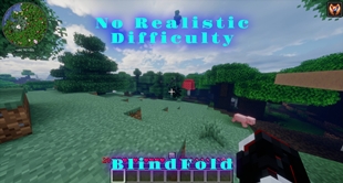 45dd.jpg