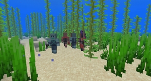 TheTrench