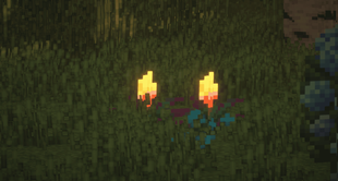 2026-09-04_17.04.39.png