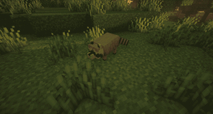 2026-09-04_17.06.10.png