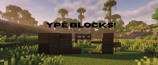 Ype Blocks