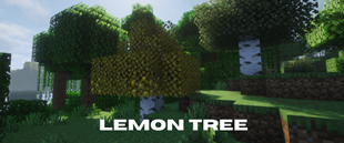 Lemon Tree