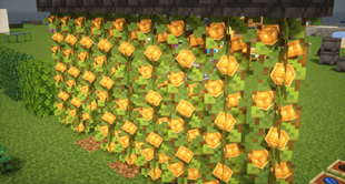 2026-09-05_11.01.34.png