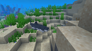 one of many sea predators