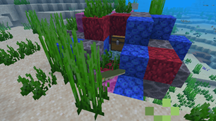 one of sea treasures