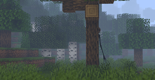 Behind the tree
