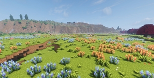 Spring Biome