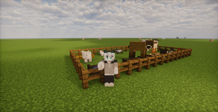 2026-09-06_02.06.20_compressed.png