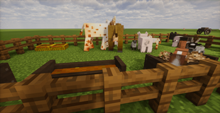 2026-09-06_02.05.53_compressed.png