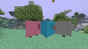 with the resource pack.png