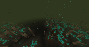 The Hollow Dimension