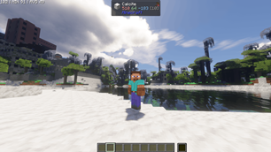 driver gloves and driver belt in 3rd person