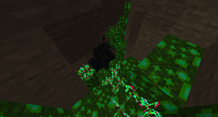 Ancient Forest