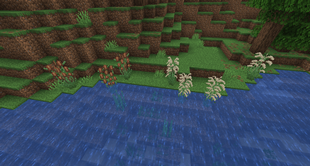image-attachment_321b040d-d1fd-43ee-b171-d6b281c99789.png