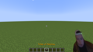 Custom name eng.png