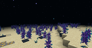 2026-08-30_14.15.59.png