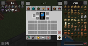Inventory
