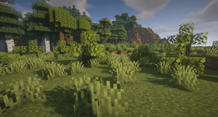 Meridian Landscape 5